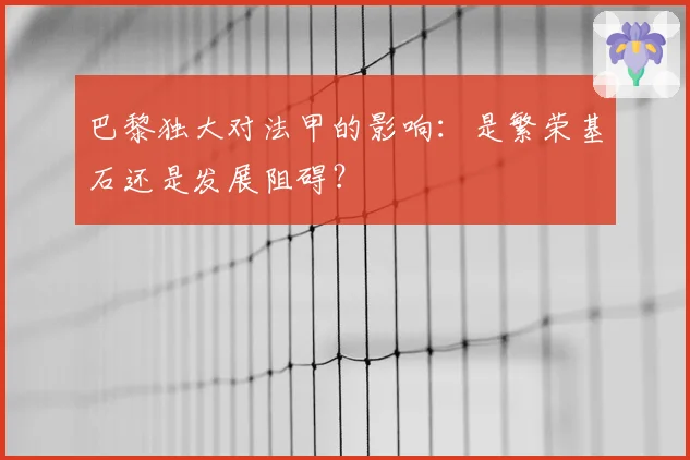 巴黎独大对法甲的影响:是繁荣基石还是发展阻碍?